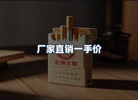 专业团队办公环境